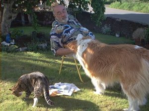 I did NOT say Hi to the cat first