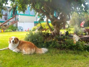 Im the Lord of all I survey