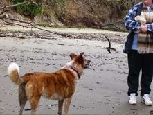 Sheila on beach Willapa Bay
