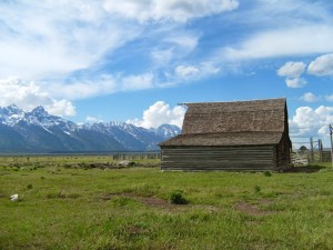 Teton Prairie