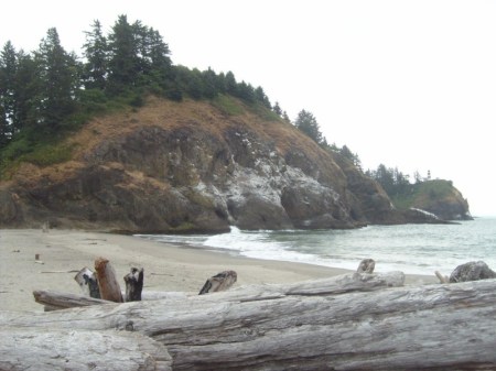 Waikiki Beach Cape Disappointment