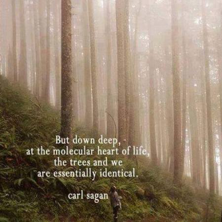 pantheise quotes Sagan