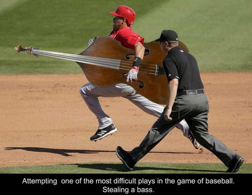 13245494_10153623684808231_2025179992029676349_n