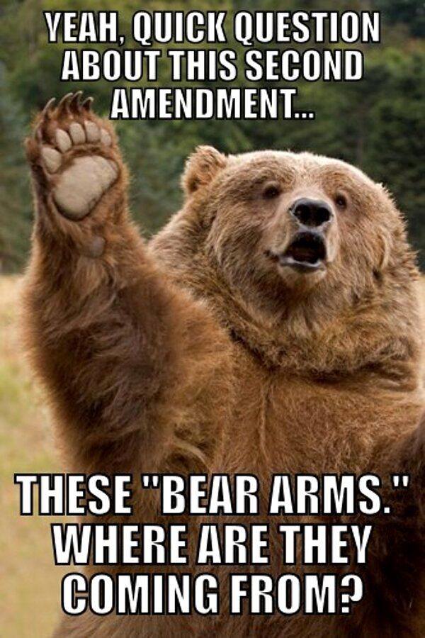bear-arms