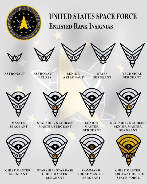 Space Force Enlisted Rank Insignias